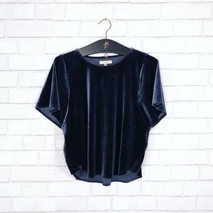 Madewell Blue Velvet Butterfly Top